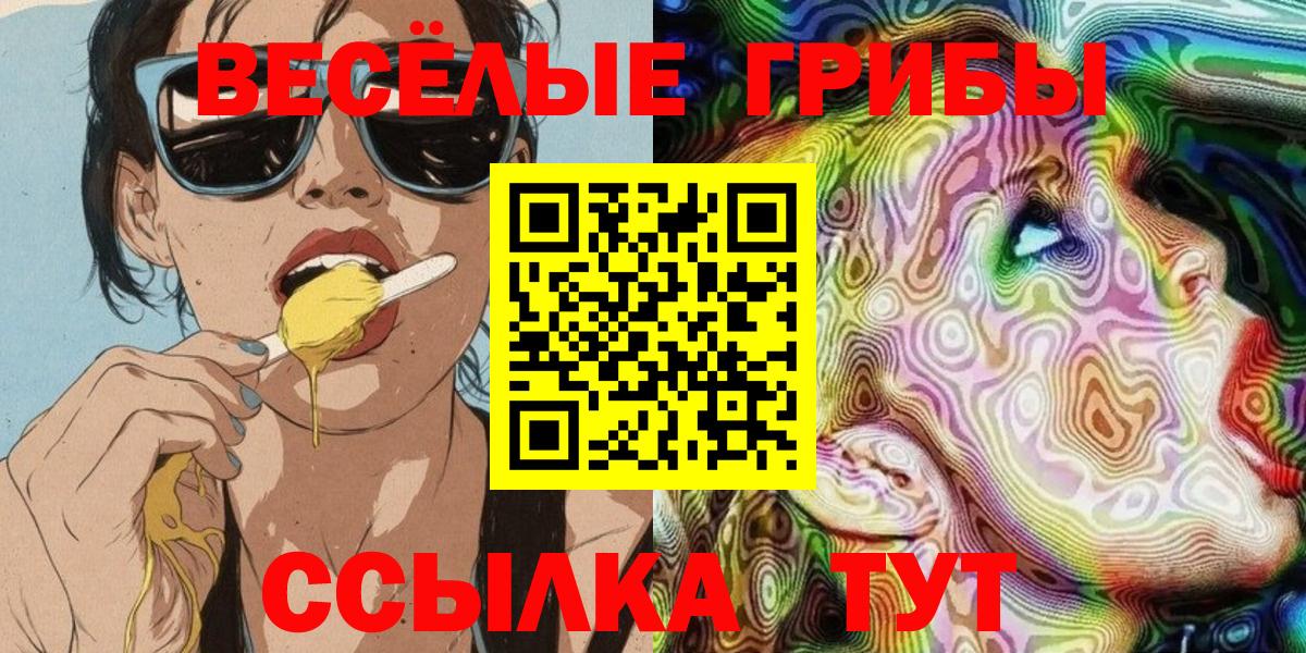 Псилоцибиновые грибы Psilocybine cubensis Кисловодск